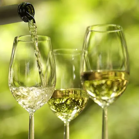Flair Vino Vitalis Hotel